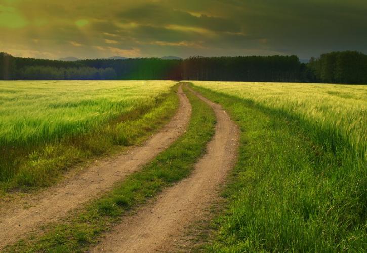 PLAN DE ACTUACIÓN FEST POR COVID-19